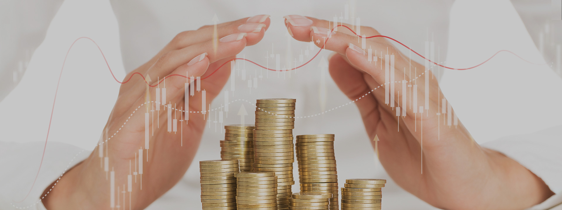 投資者保護(hù)